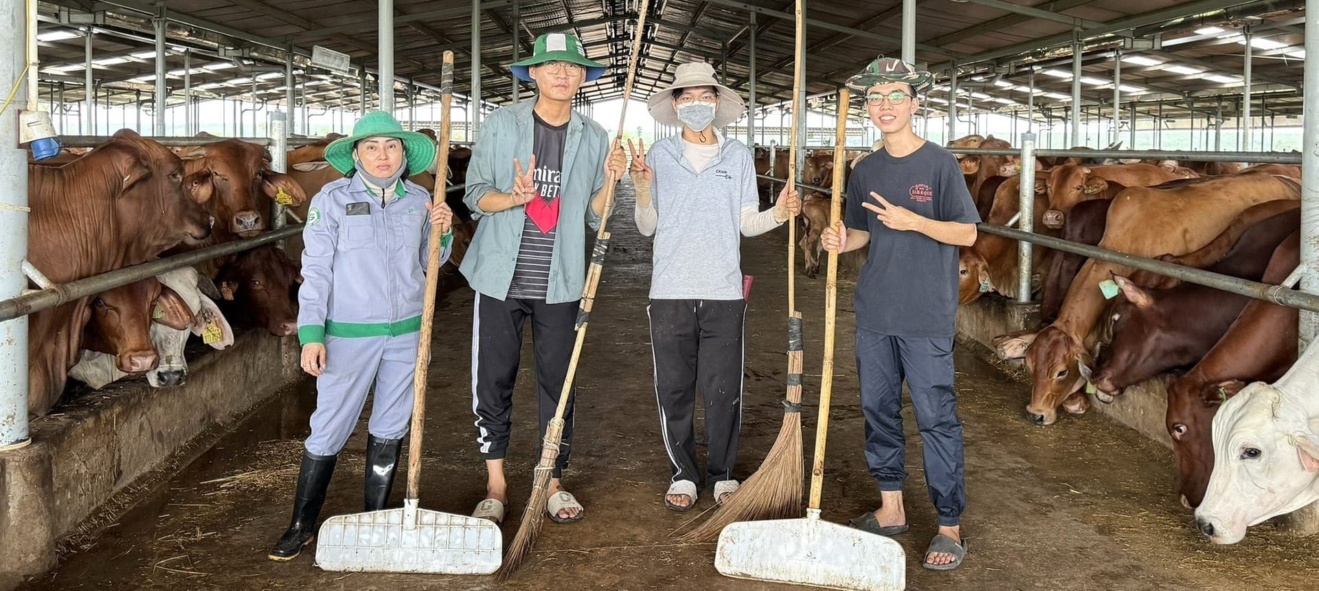 Sinh viên Trường Đại học Trà Vinh thực tập tại Xí nghiệp Bò kết hợp Sầu riêng KLH Snuol