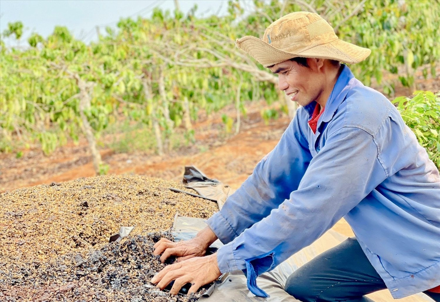 Ông Rơ Châm Kyêu (làng Phung) tự ủ phân vi sinh bón cho cây sầu riêng thay phân hóa học