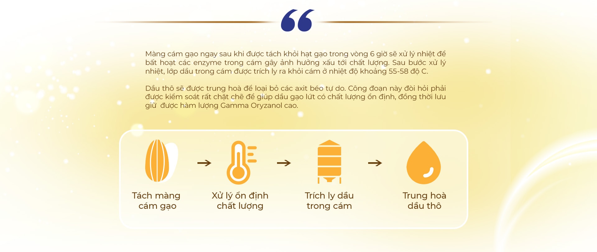 Hành trình từ hạt gạo nâu đến giọt dầu đặc biệt nuôi dưỡng trái tim - Ảnh 8.