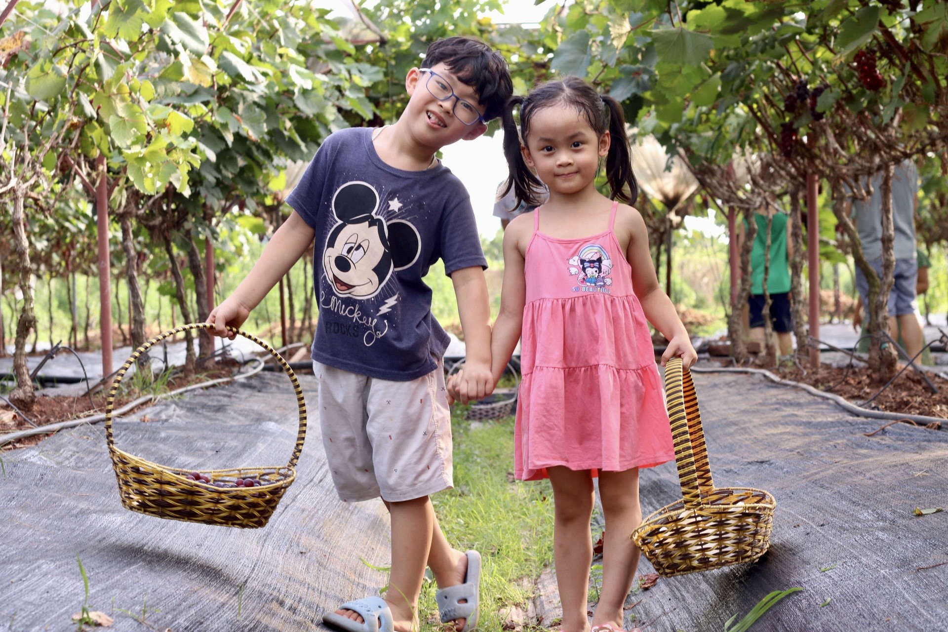 Giới trẻ rủ nhau check-in tại vườn nho trĩu quả chín mọng tại Hà Nội ảnh 15