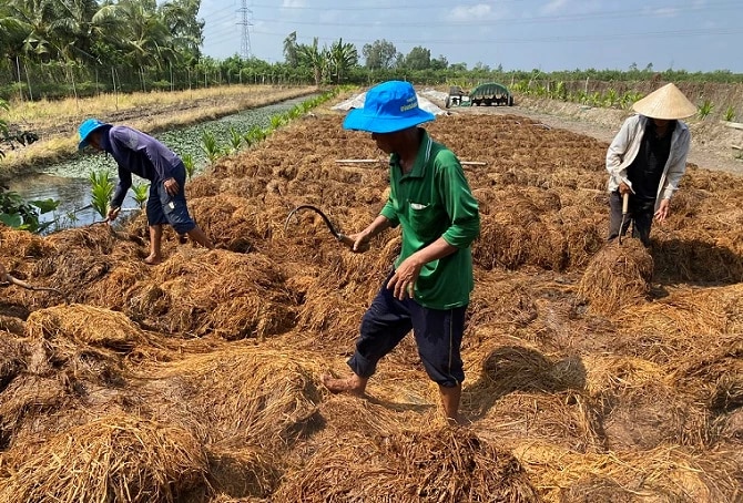 hướng đến thu gom 100% rơm rạ khỏi đồng ruộng vào năm 2030 và góp phần thực hiện cam kết của Việt Nam tại COOP 26 về biến đổi khí hậu.