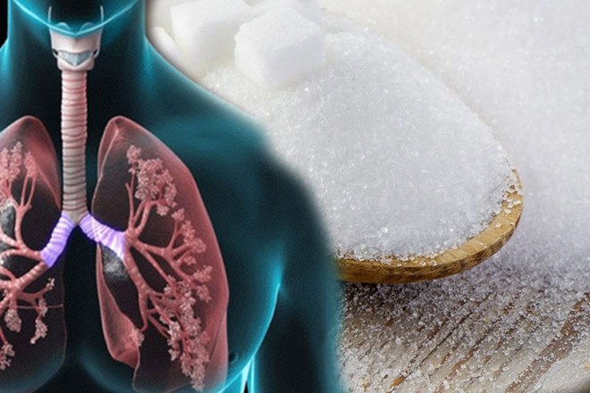 Ăn quá nhiều đường sẽ gây hại cho phổi