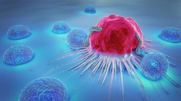 Ngày mới với tin tức sức khỏe: Cách tập thể dục 'diệt' tế bào ung thư- Ảnh 1.