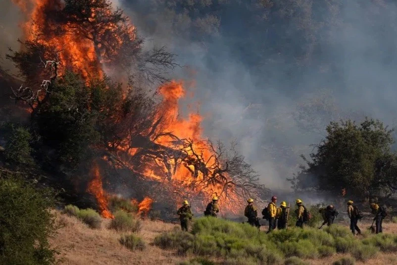 Lính cứu hỏa nỗ lực kiểm soát đám cháy đang lan rộng tại bang California, Mỹ, ngày 15-6. Ảnh: Marcio Jose Sanchez/AP