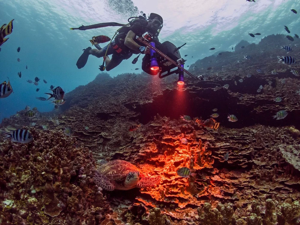 DiveRay tạo bản đồ 3D của đáy đại dương. Ảnh: PlanBlue