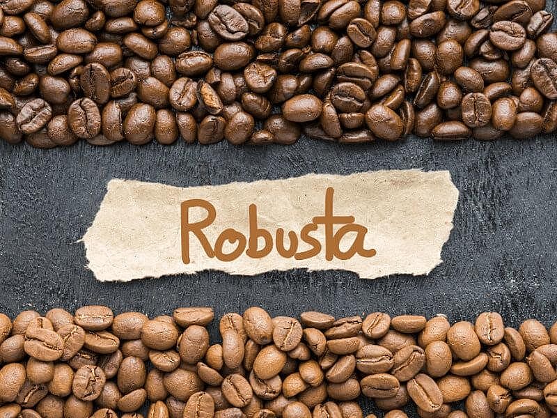Đâu là nguyên nhân khiến giá cà phê Robusta xuất khẩu tăng cao nhất lịch sử