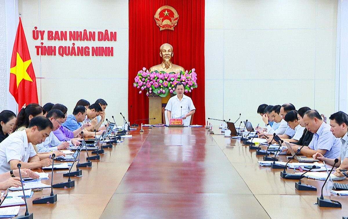 Sự kiện - Quảng Ninh: Đón hơn 10 triệu lượt du khách trong nửa đầu năm 2024