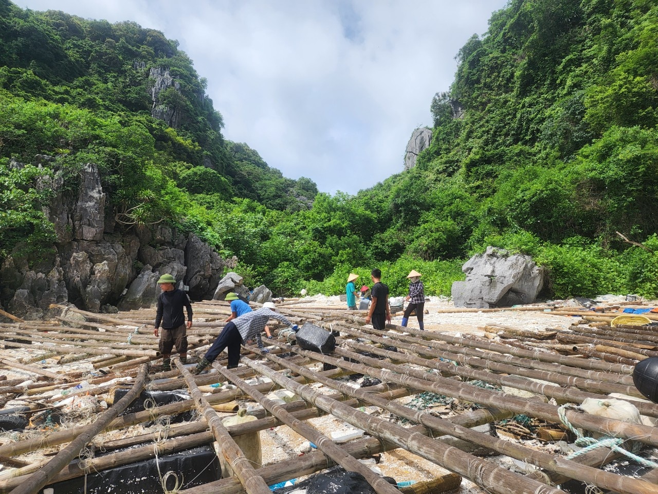 Hạ Long đã thu dọn hơn 8 tấn rác trôi vào bờ
- Ảnh 1.