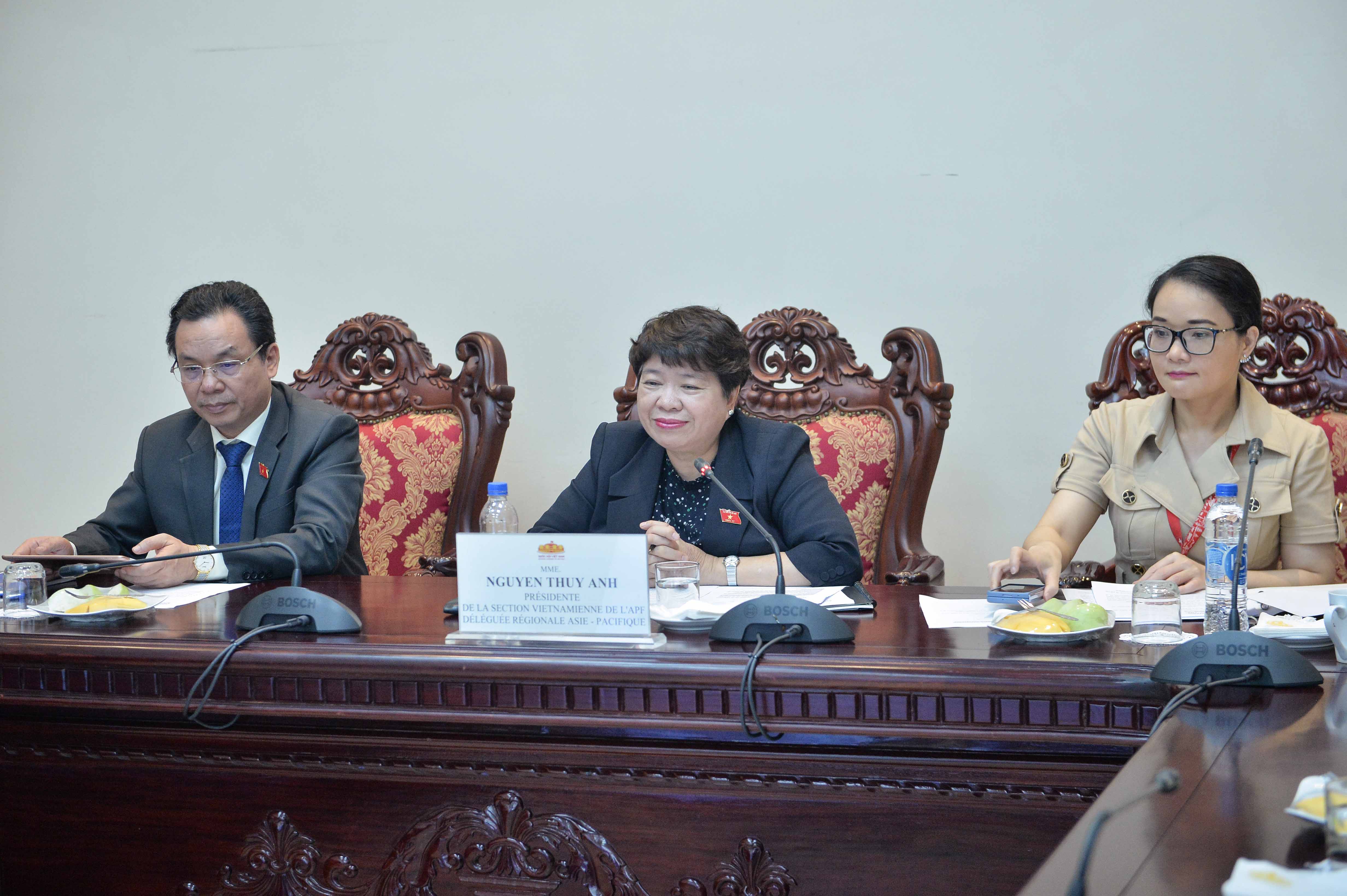 Chủ nhiệm Ủy ban Xã hội Nguyễn Thúy Anh phát biểu 