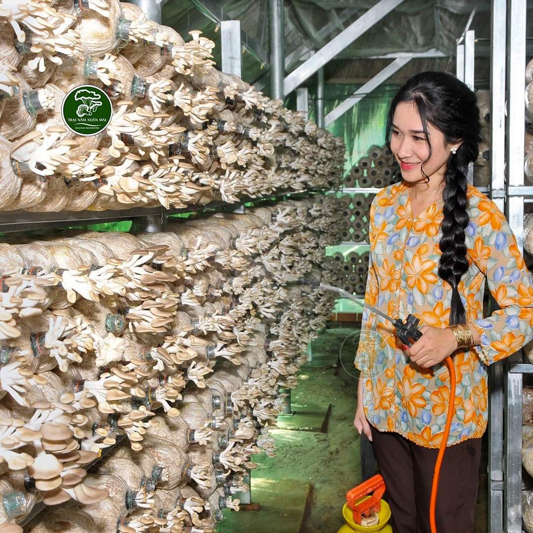 Mê ăn nấm, cô gái Bến Tre làm luôn nhà trồng nấm để khởi nghiệp- Ảnh 1.