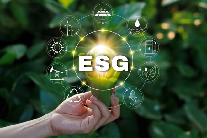 Nâng cao lợi thế kinh doanh nhờ nhận thức về ESG và kinh tế tuần hoàn