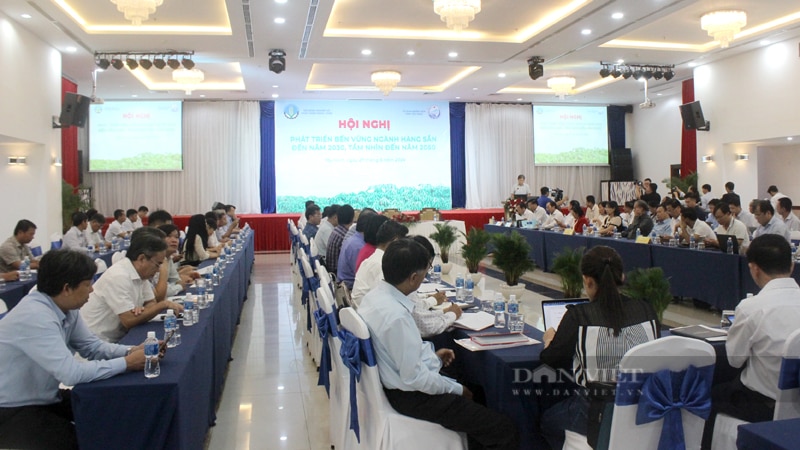 Hội nghị Phát triển bền vững ngành hàng sắn Việt Nam đến năm 2030 tổ chức tại tỉnh Tây Ninh. Ảnh: Nguyên Vỹ
