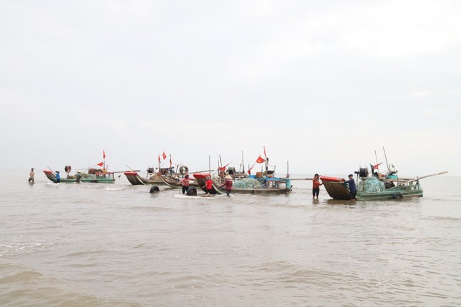 Ngư dân xứ Nghệ rộn ràng mùa thu hoạch ruốc biển ảnh 1