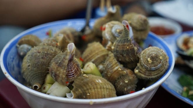 Đi Quy Nhơn - Phú Yên, nhớ mãi những bữa ốc biển "ngập răng": Ốc vú nàng, trinh nữ... còn có một loại "cực phẩm" tiến vua ăn ngon nức nở  - Ảnh 8.