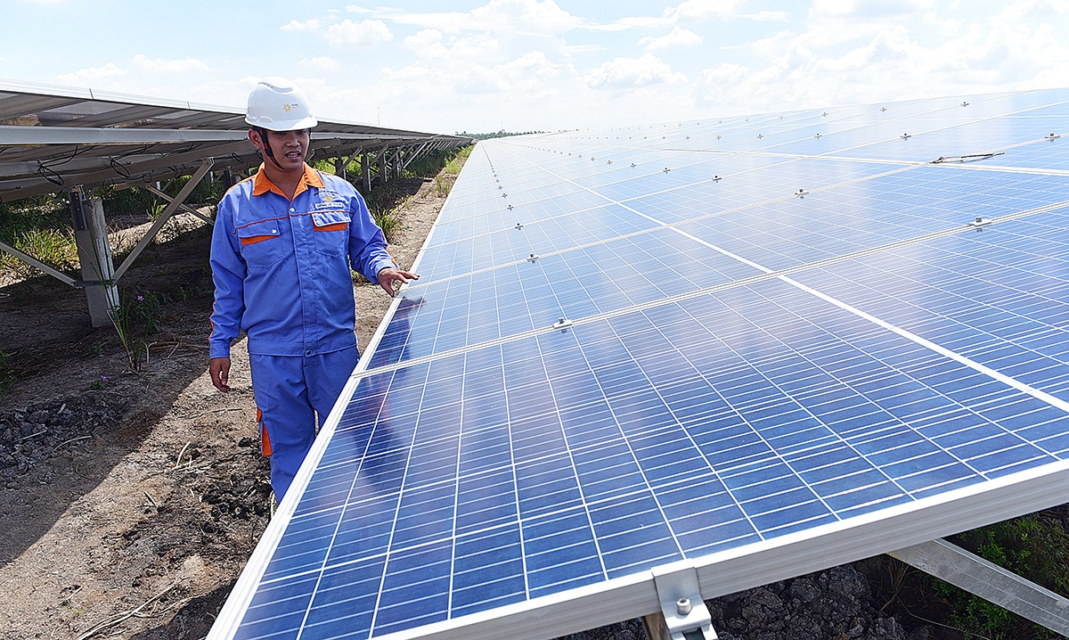 Điện mặt trời được lắp đặt ở Long An - Ảnh: QUANG ĐỊNH