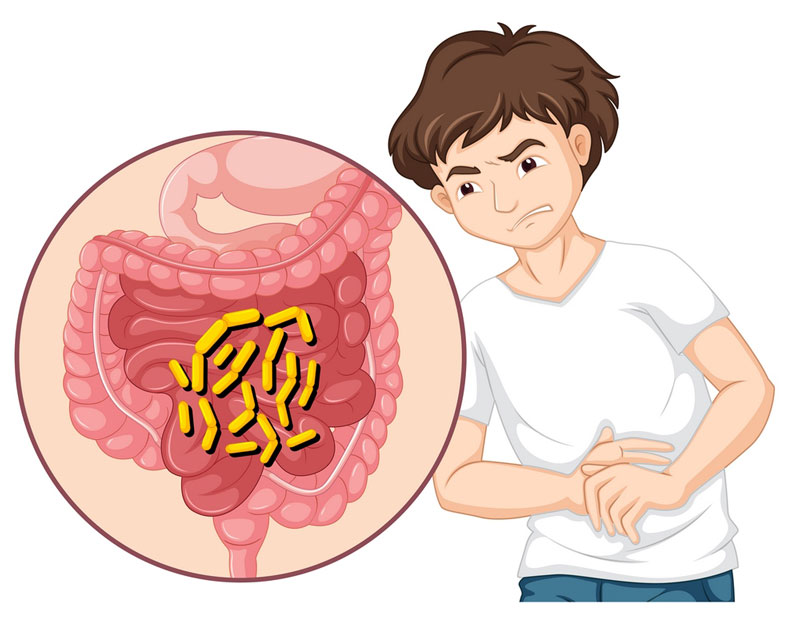 Nhiều loại vi khuẩn có khả năng tấn công đường ruột gây viêm dạ dày ruột 