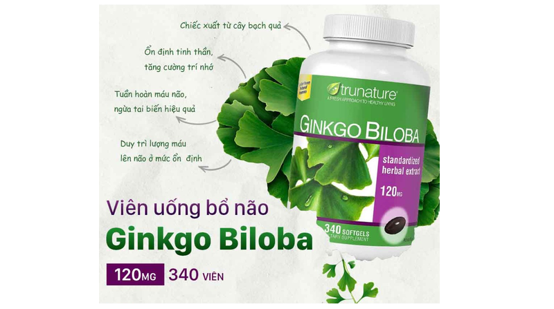 Một số thông tin về thuốc bổ thần kinh Ginkgo Biloba 120mg - Mỹ