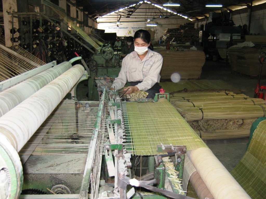 Sản xuất tại Công ty cổ phần Xây dựng và Chế biến trúc tre xuất khẩu Cao Bằng- một trong những đơn vị được hỗ trợ từ nguồn kinh phí khuyến công. Ảnh KX
