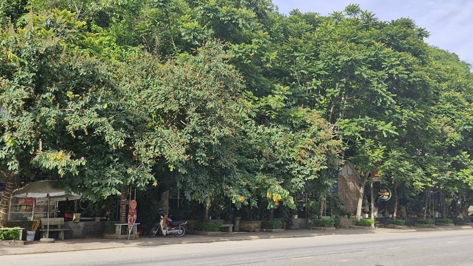 Nằm ngay điểm đầu thị trấn huyện Quỳ Hợp (Nghệ An), ẩn chứa trong rừng cây xanh mát này là một quán cà phê hết sức độc đáo. Đúng như tên gọi, quán cà phê có một hầm sâu dài gần 30m chạy sâu vào lòng núi. 