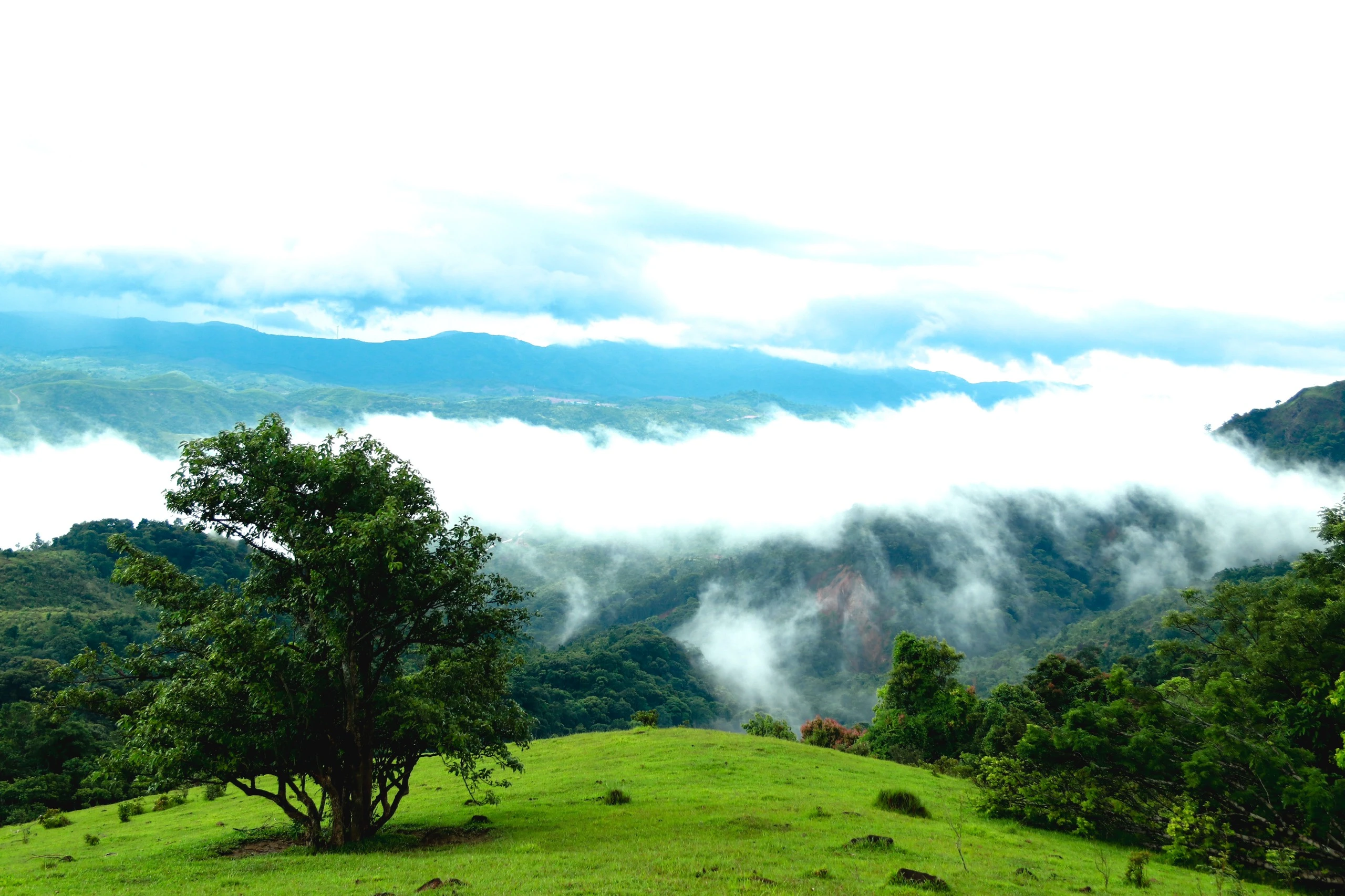 Исследуйте зеленую степь между горами и лесами Куангчи - Vietnam.vn