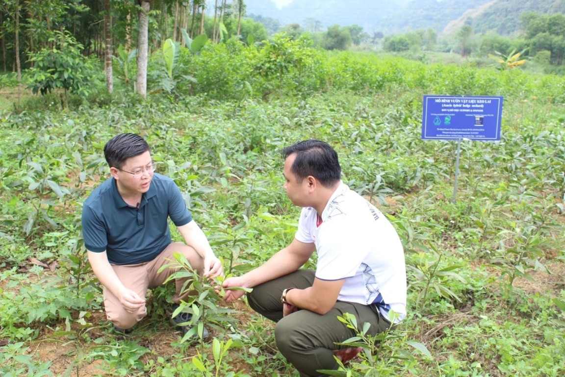 Văn phòng Chứng chỉ Quản lý rừng bền vững VFCO đã và đang hỗ trợ các doanh nghiệp kết nối thị trường, đặc biệt là các sản phẩm keo và cao su.