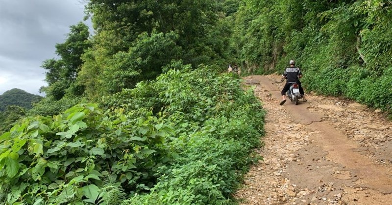 モクチャウ渓谷の真ん中にある元の村への道 - Vietnam.vn