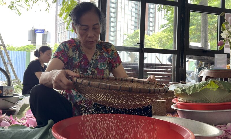 Người làm trà sen cẩn thận chọn từng hạt gạo từ gương sen, ướp thơm cho trà. Ảnh: Hoàng Lộc