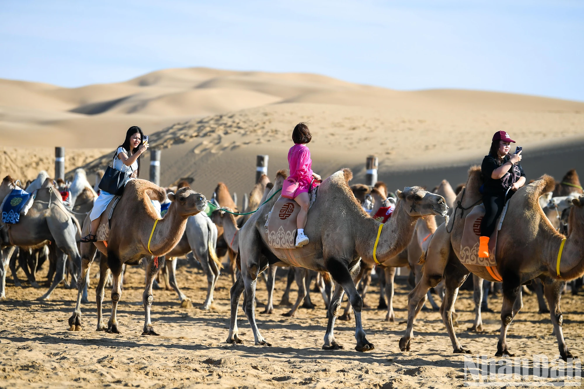 [Photo] Vong Am Desert - Mysterious beauty in Inner Mongolia - Vietnam.vn