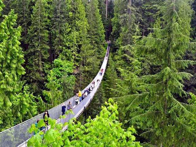 Famous suspension bridges in the world with majestic landscapes ...