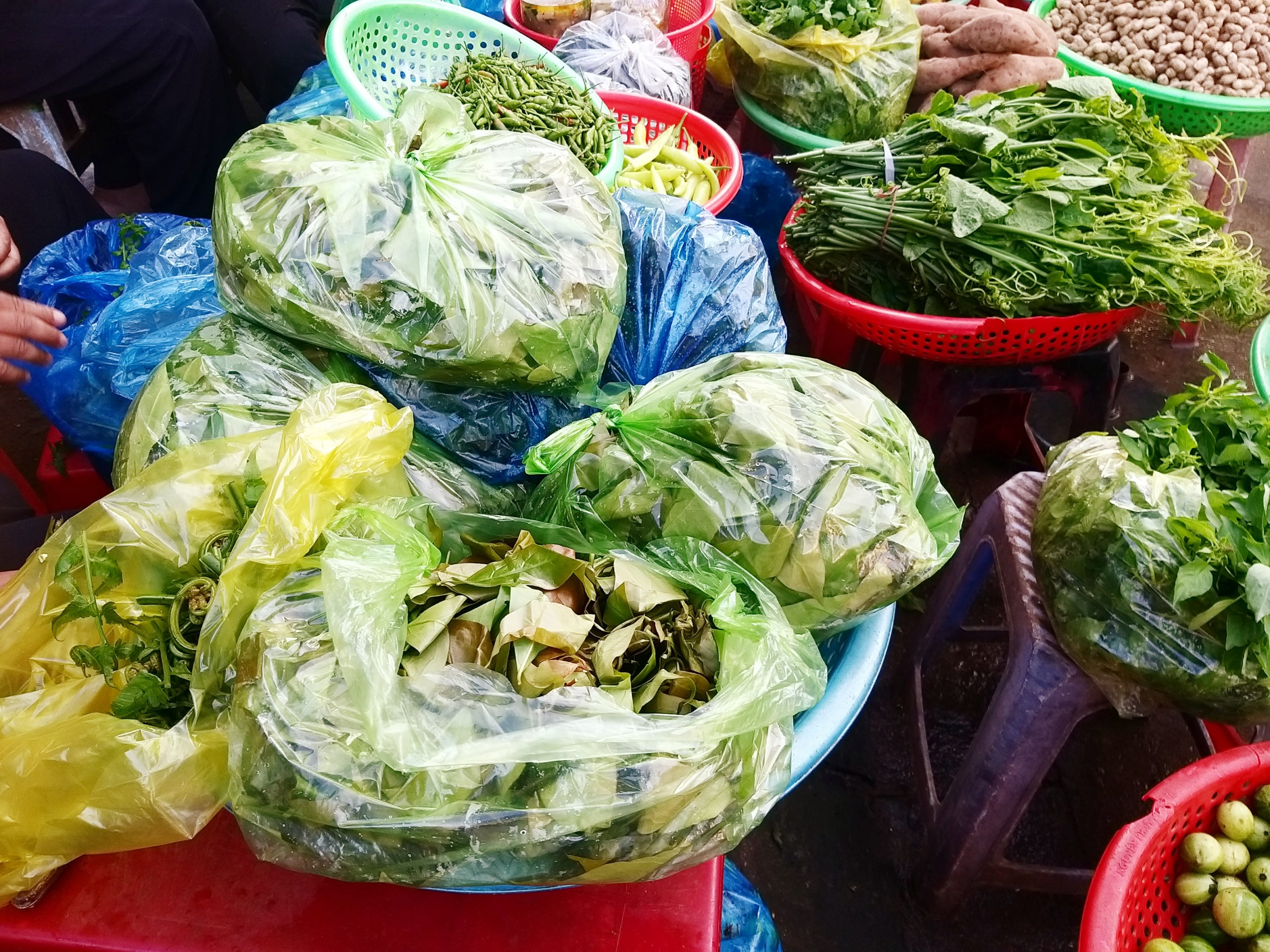 Lá bép, lá nhíp ở Đắk Lắk, loại rau rừng xưa ăn chống đói, nay hóa ra đặc sản, người ta săn lùng- Ảnh 1.