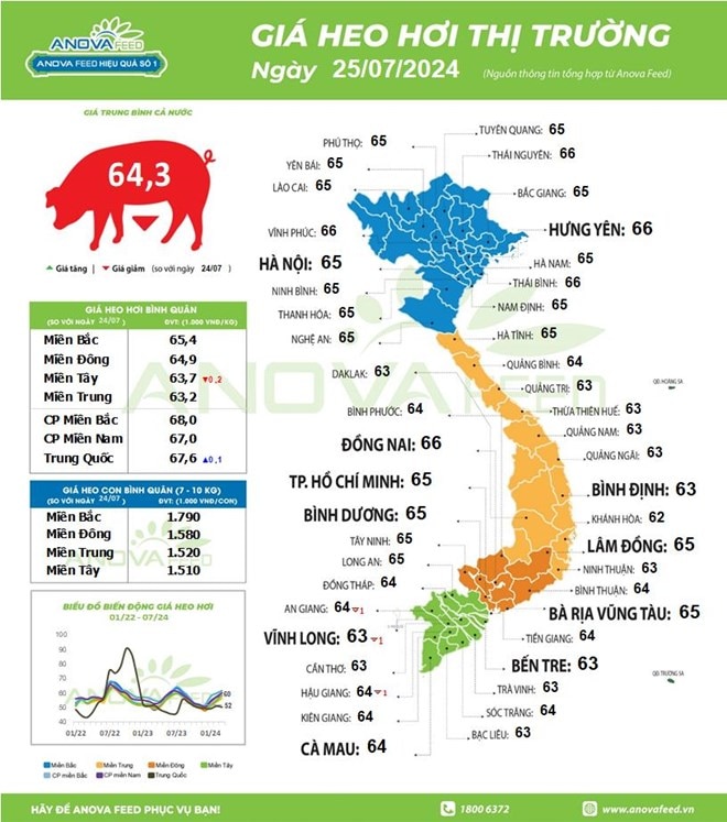 Vì sao giá lợn hơi hạ nhiệt, giá thịt lợn tại chợ vẫn cao