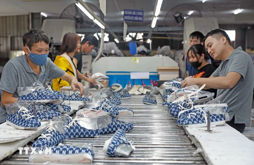 Leather and footwear exports in 2024 are expected to reach about 26-27 billion USD - Vietnam.vn