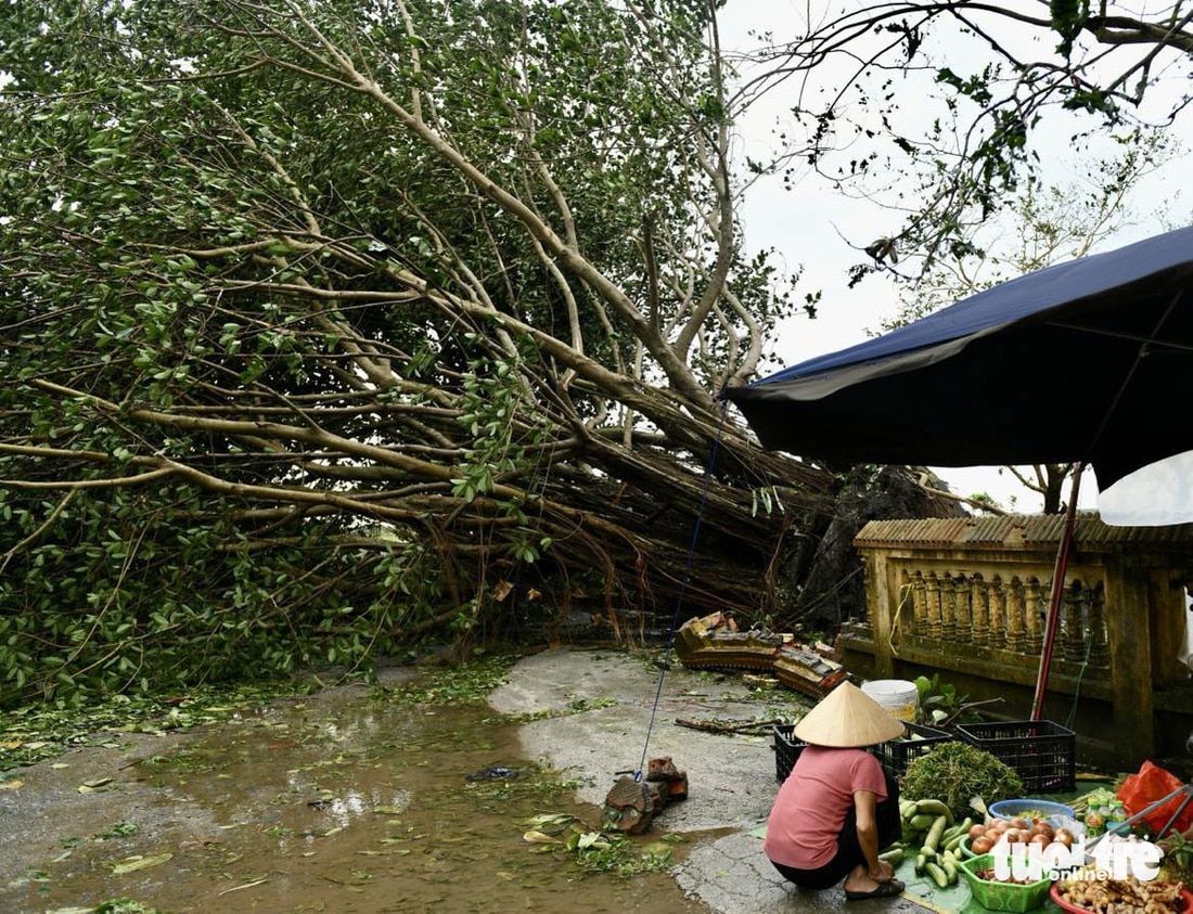 Sau ngày đêm bão số 3 càn quét khủng khiếp: Các tỉnh miền Bắc ngổn ngang chưa từng thấy - Ảnh 29.